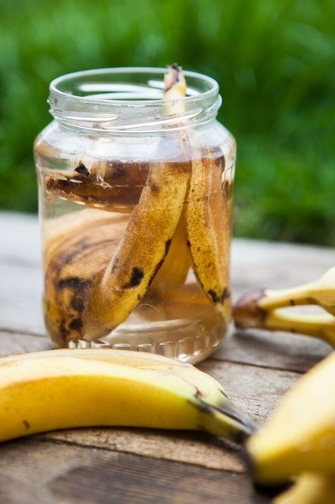 удобение из кожуры банана