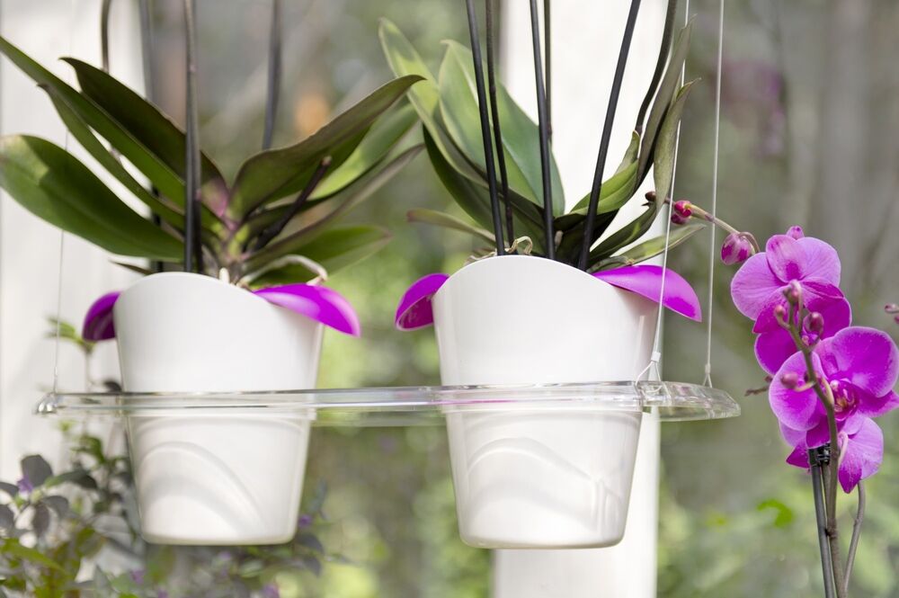 Емкость для орхидей